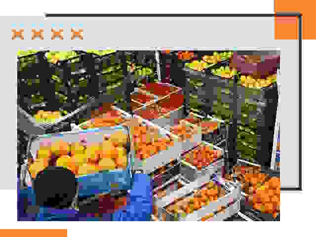 Перевозка скоропортящихся продуктов в Муроме